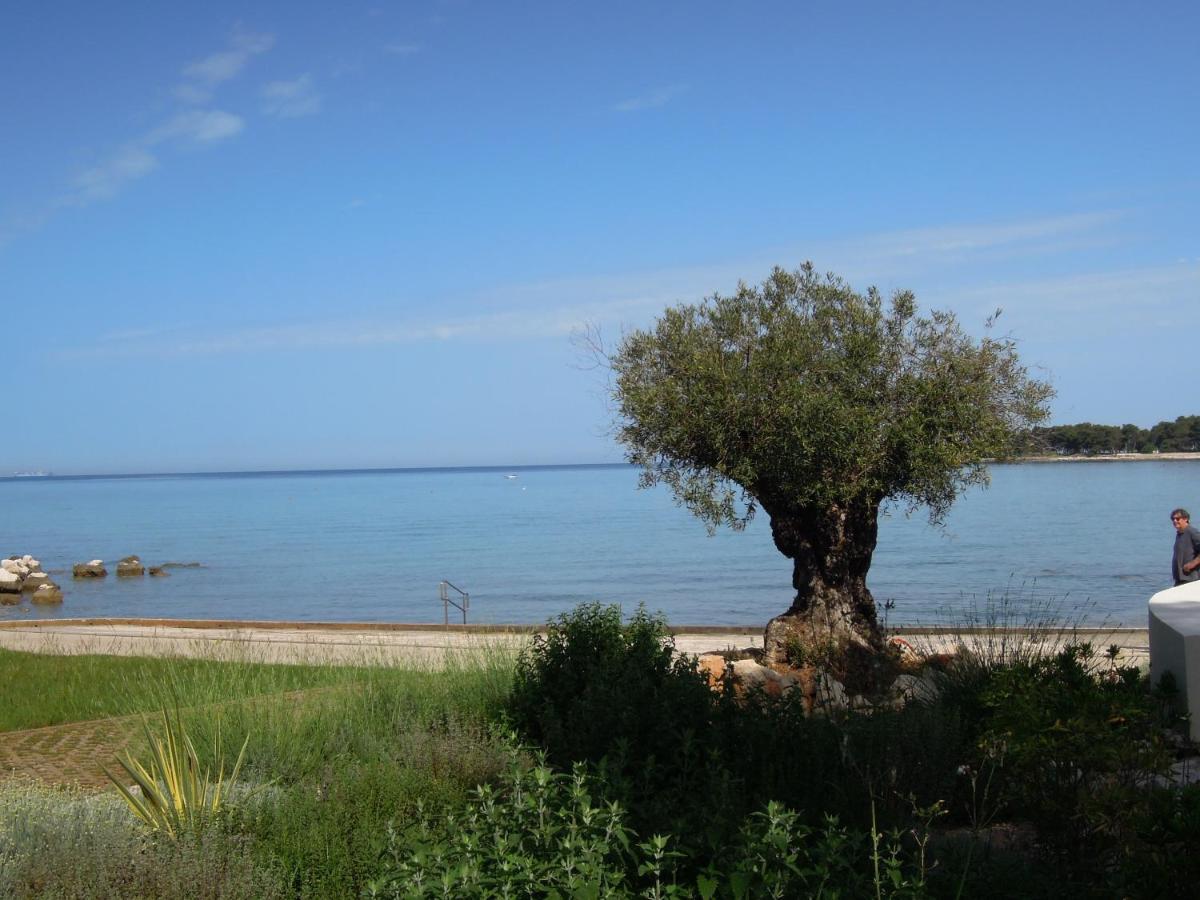 Stella Maris Appartement Umag Exterior foto